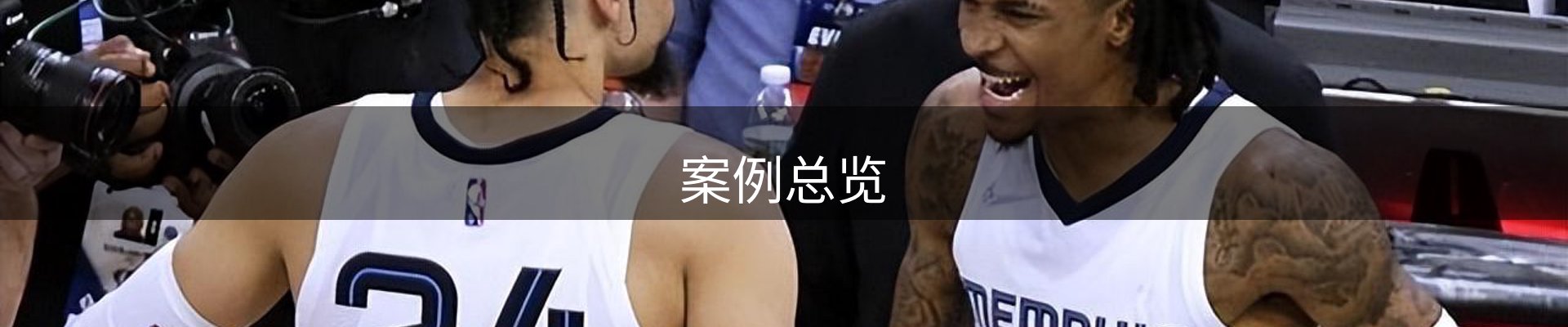案例总览